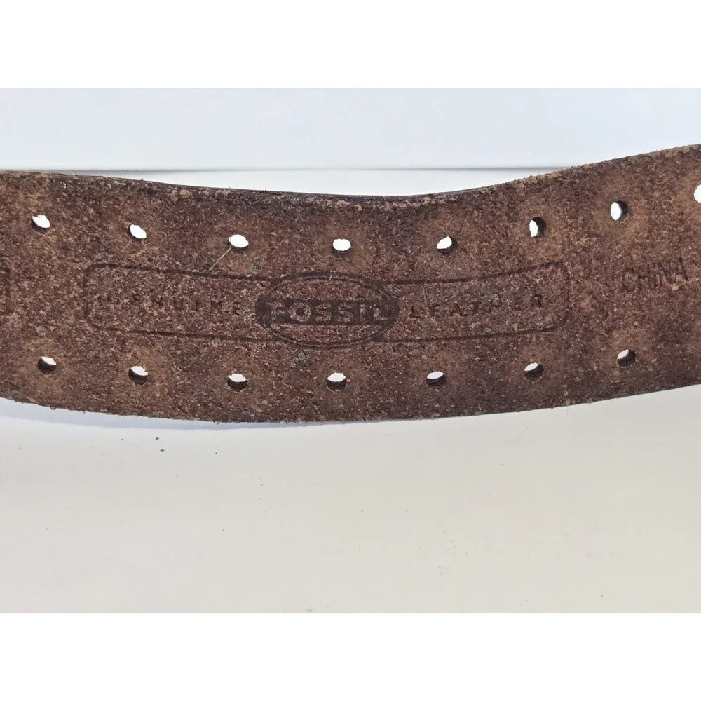 Fossil belt brown